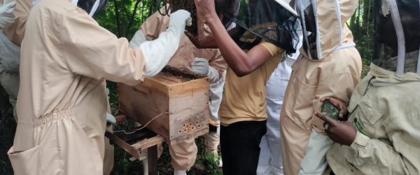 Help train the next generation of Beekeeping Leaders by Bees for Development fundraising photo 1