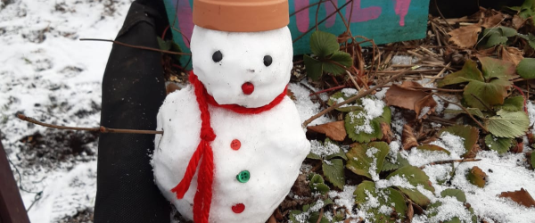 4ft-5ft Charity Christmas Trees by The Mudlarks Community fundraising photo 1
