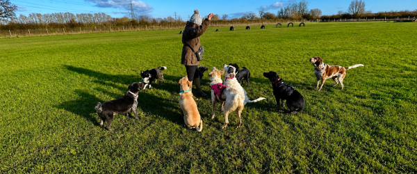 Moray Hike, 45 miles 3 days  by SuperDogs Rescue fundraising photo 1