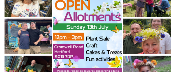 Mudlarks Open Allotment by The Mudlarks Community fundraising photo 6