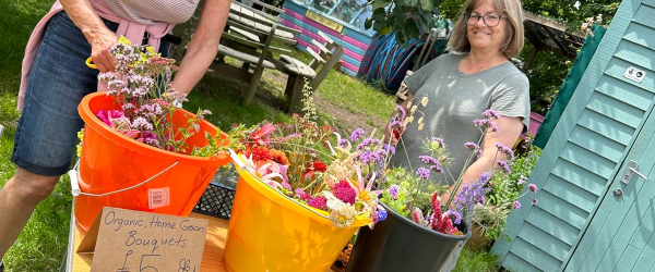 Mudlarks Open Allotment by The Mudlarks Community fundraising photo 3