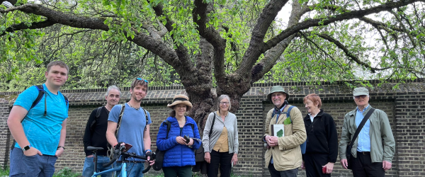 The Urban Tree Festival 2024 by CPRE London fundraising photo 5