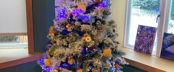 Christmas Fun Fund by Lighthouse Pedagogy Trust (CIO) fundraising photo 1