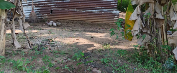 Support Anton: Help Build My Home and Start an Organic Farming Dream by KindLink Individual Fundraising fundraising photo 1