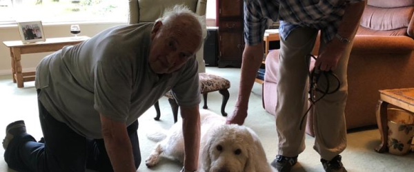 Help Us Re-home Older Animals by Charity Buddy fundraising photo 1
