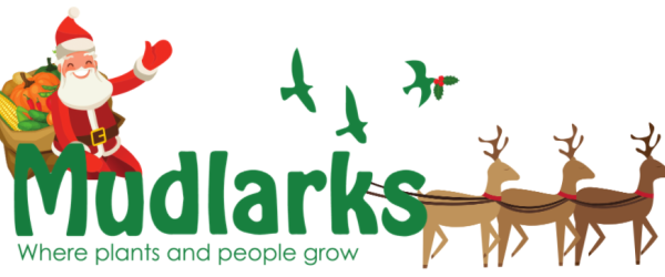 Christmas Trees 2024 by The Mudlarks Community fundraising photo 1