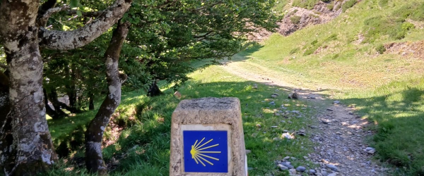 Gloria's Camino de Santiago Pilgrimage by South East Cancer Help Centre fundraising photo 4