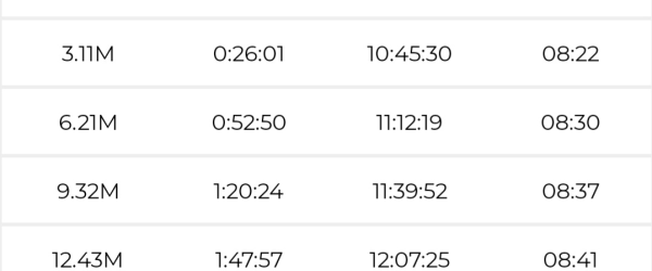 London Marathon 2023 for DDCS (who support our daughter Lucia) by Dorset Deaf Children's Society fundraising photo 4