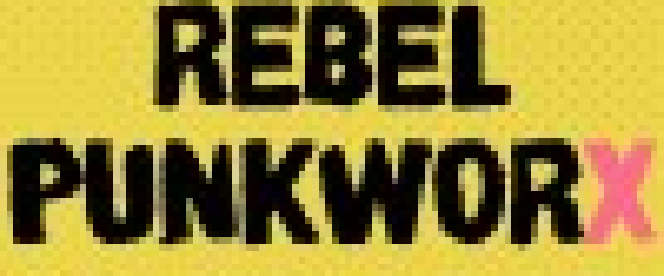 Rebel Plan 2026 - 2030 by Rebel Punkworks fundraising photo 1