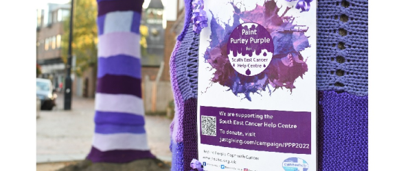 Paint Purley Purple  by South East Cancer Help Centre fundraising photo 1