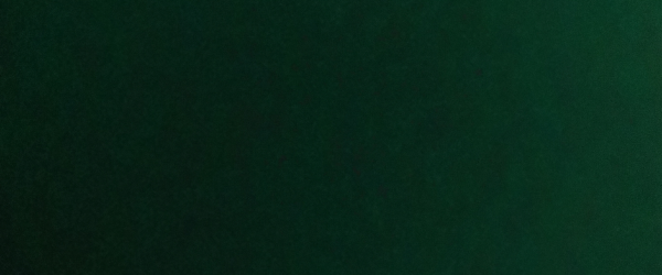 Test1 by The Hanoon Foundation fundraising photo 1