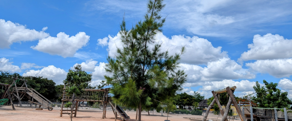 Help us to plant trees in Zambia by Baraka Community Partnerships fundraising photo 1