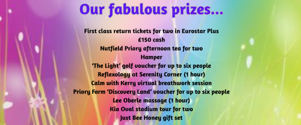 Annual Raffle 2025 by South East Cancer Help Centre fundraising photo 1