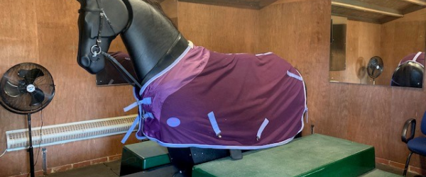 Help Fix Jeremy our Mechanical Horse by Arrow Riding Centre for the Disabled fundraising photo 1