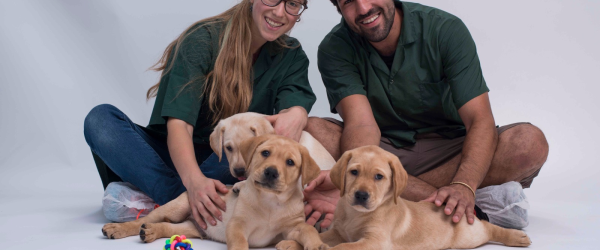 Sponsor the 1st year of a puppy's life by Israel Guide Dog Centre UK fundraising photo 1