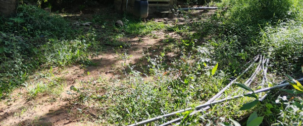 Support Anton: Help Build My Home and Start an Organic Farming Dream by KindLink Individual Fundraising fundraising photo 2