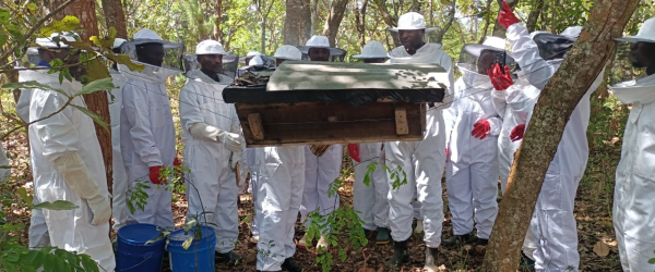 Help train the next generation of Beekeeping Leaders by Bees for Development fundraising photo 4