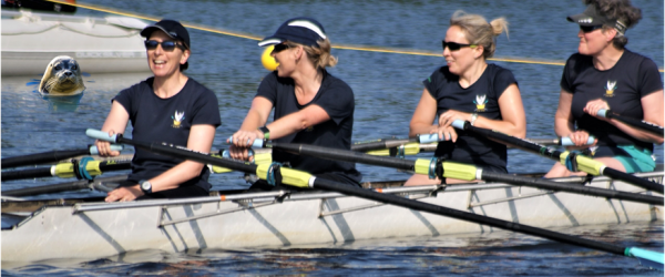 Community Rowing - Not as Posh as you Think! by City of Swansea Rowing Club fundraising photo 3