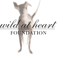 Wild at Heart Foundation logo