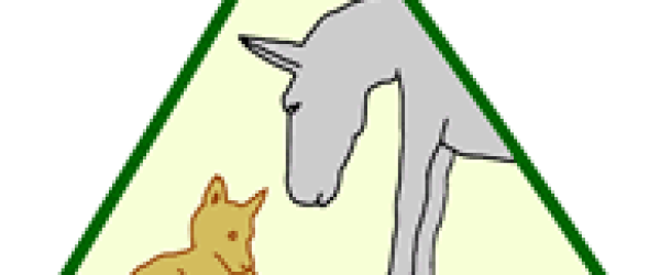 Raising money for AWOL (Animal welfare of Luxor)  by Animal Welfare of Luxor fundraising photo 1