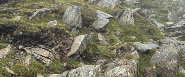 Walk for Gaza by The Qamar Trust fundraising photo 5