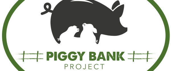 Piggy Bank Project by Empathy International fundraising photo 1