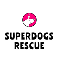 charity-default-logo