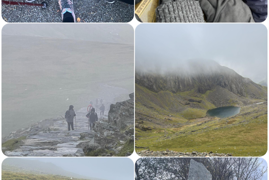 Walk for Gaza by The Qamar Trust cover photo