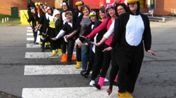 Penguin Day
