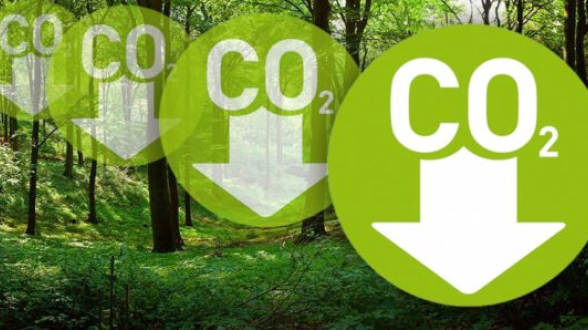 Co2 reduction