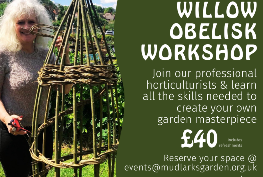 Willow Workshop by The Mudlarks Community cover photo