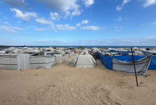 Gaza Famine Appeal by Mobile International Surgical Teams cover photo