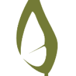 The Butterfly Tree logo