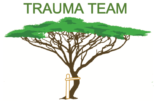 Trauma Team 2026 Projects by Future Health Africa cover photo