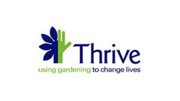 Proposition Team - Volunteering with Thrive