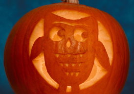 Fundraiser cover image