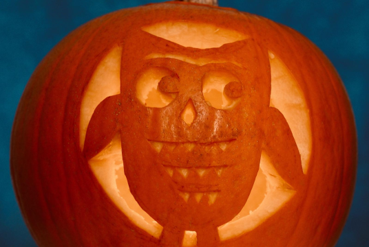 Longparish Pumpkin Competition 2020 by Longparish Little School cover photo