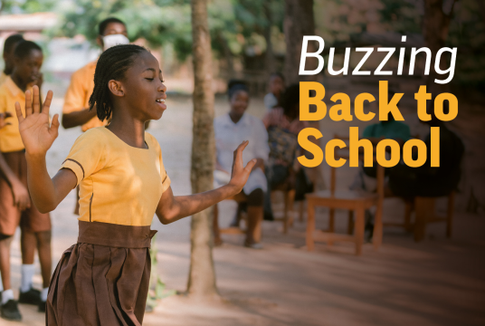 Buzzing back to school by Bees for Development cover photo