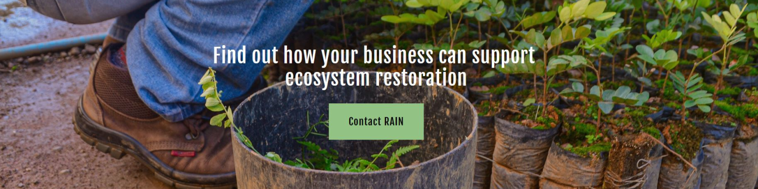 RAIN (Regenerative Agroforesty Impact Network) logo