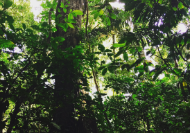 Fundraiser cover image