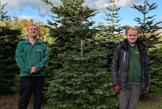 5ft Charity Christmas Trees by The Mudlarks Community cover photo