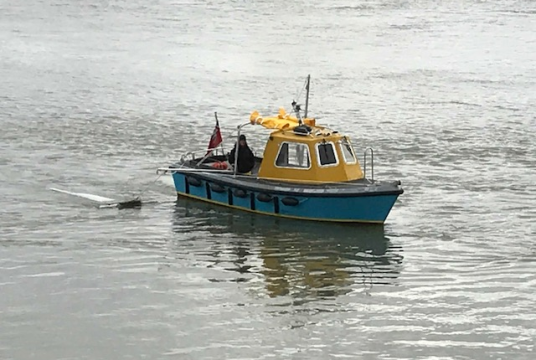 Thames Manta by Living River Foundation cover photo