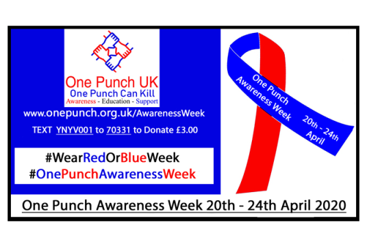 One Punch Awareness Week 2020 by One Punch UK United Ltd cover photo