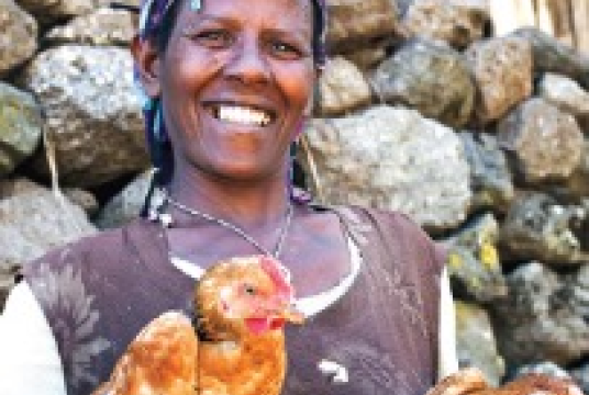 BANKING ON CHICKENS by Action Ethiopia cover photo