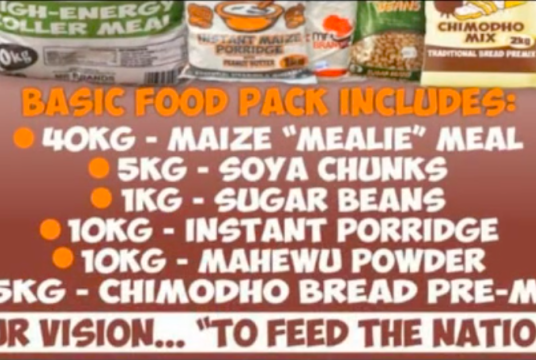 ZIM COVID-19 FEED THE NATION COLLABORATION. by Hope for Africa Ltd cover photo
