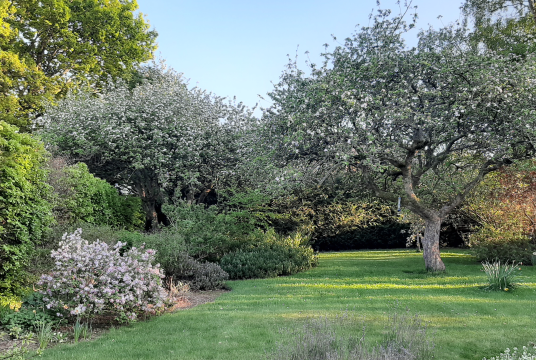 Hertfordshire Chorus Open Garden Scheme by Hertfordshire Chorus cover photo