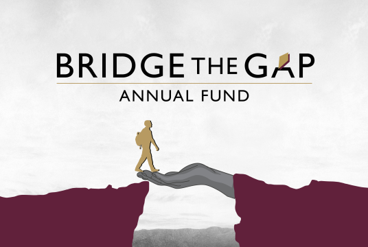 Bridge The Gap (BTG) by Stellenbosch University SA Foundation UK cover photo