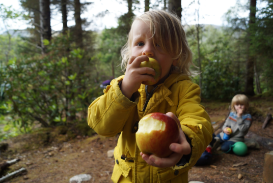 New Outdoor Nursery for Highlands by Kinder Croft CIC cover photo