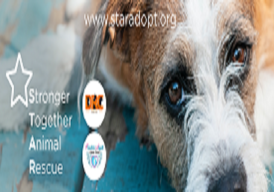 Fundraiser cover image