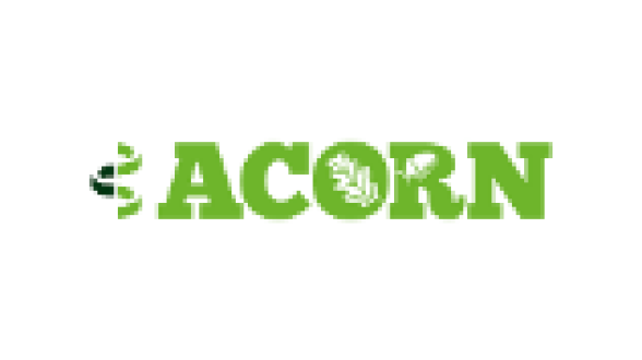 Acorn Jersey - 2023
